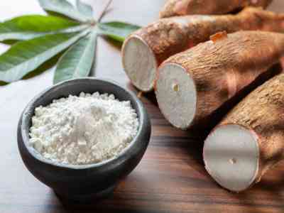 Cassava Flour